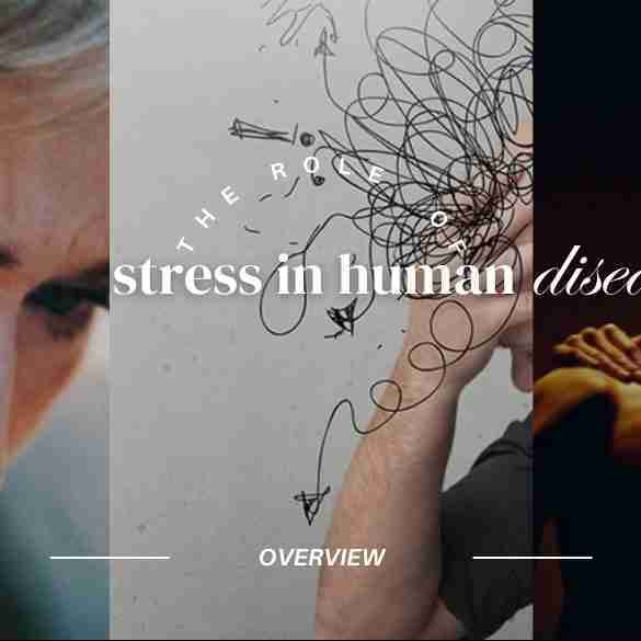 pervasive influence of stress