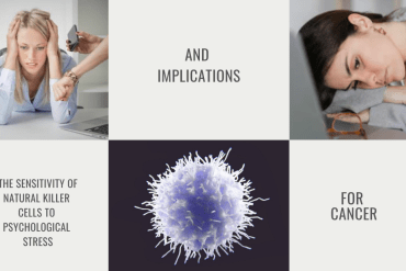Sensitivity Natural Killer Cells Psychological Stress