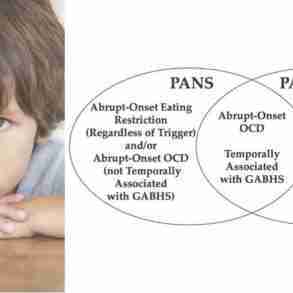 Autoimmunity Inflammation Basal Ganglia Dysfunction PANS PANDAS