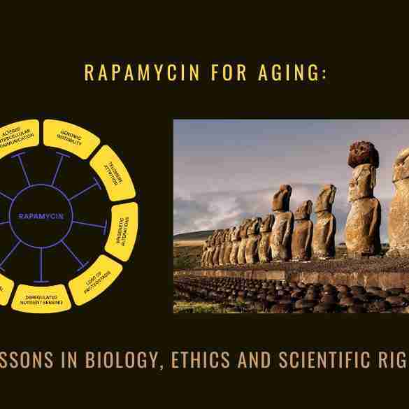 Rapamycin for aging