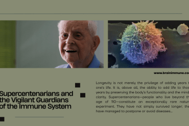 supercentenarians Vigilant Guardians Immune System