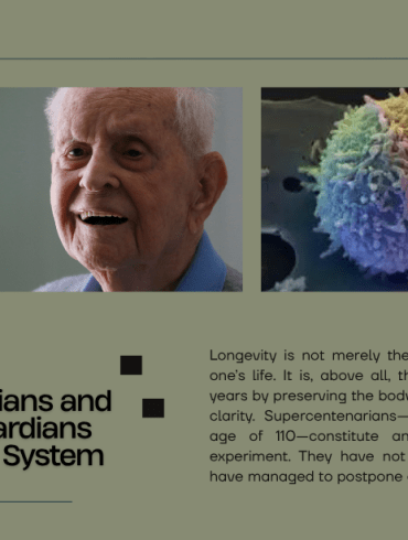 supercentenarians Vigilant Guardians Immune System